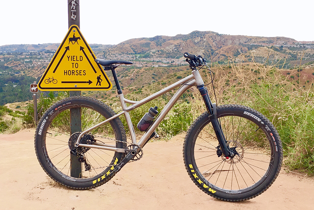 Titanium hardtail mountain bike frame
